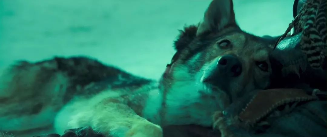 近期好莱坞大片都有哪些,2018好莱坞大片排行榜前十