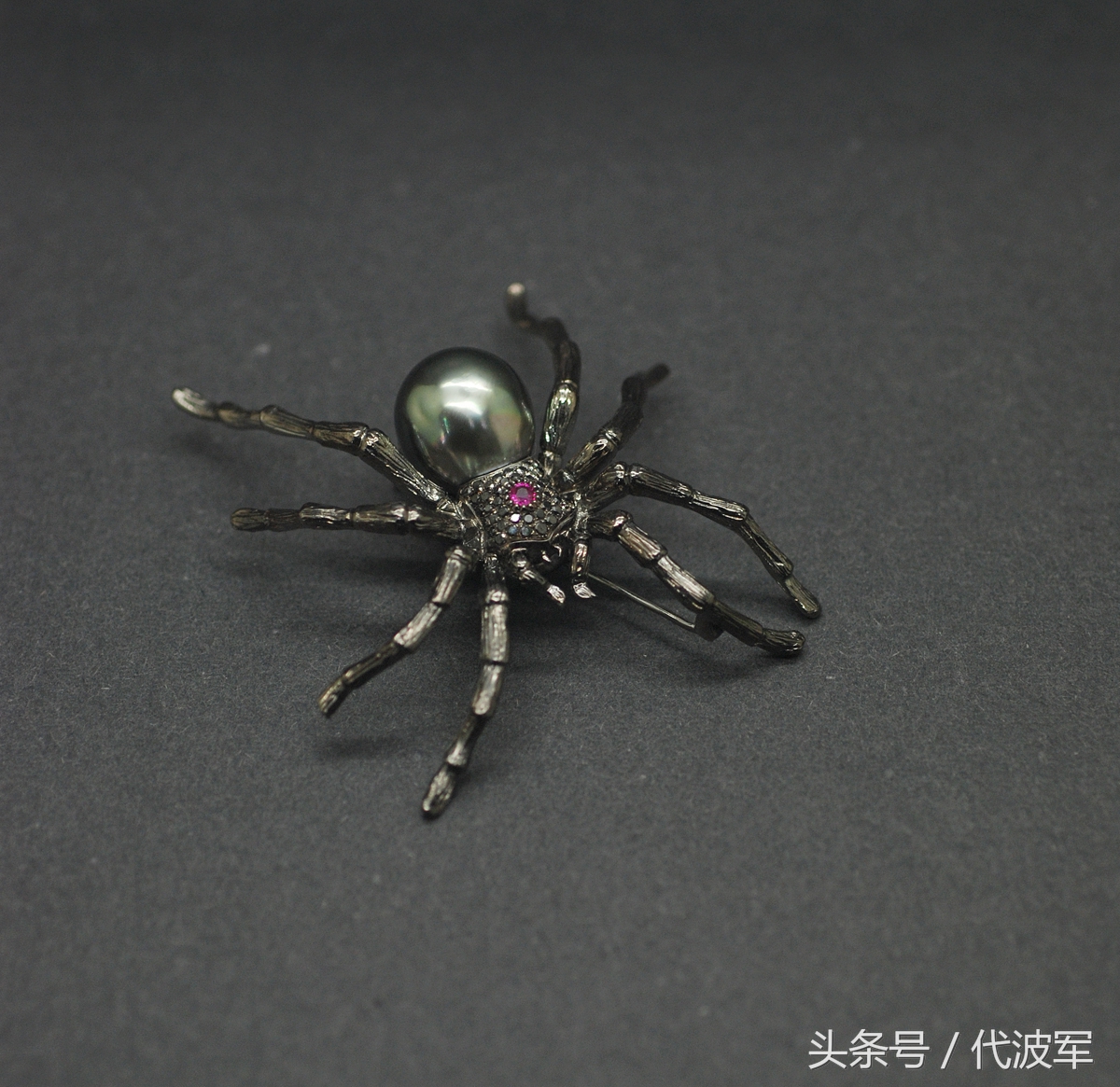 蜘蛛吊财神到有道理吗,吊蜘蛛预示什么