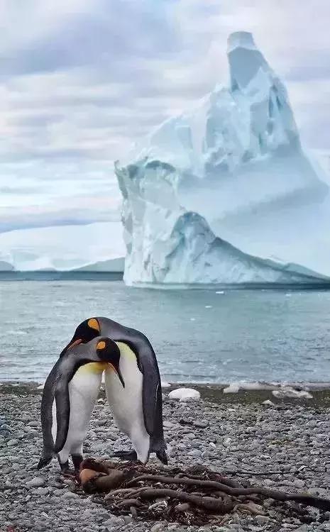 中国护照免签落地签国家,2022中国护照落地签证免签