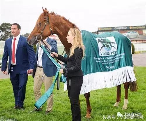 马业要闻,中国马业最受欢迎的俱乐部