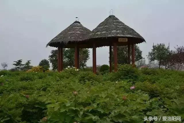 娲涢槼瀛熸触鏈夊悕鐨勯晣,娲涢槼瀛熸触鍙ら晣