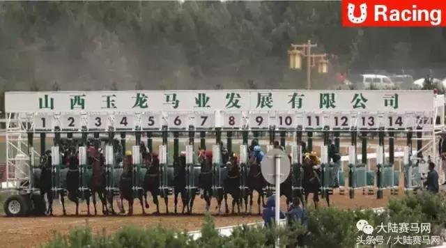 马业要闻,中国马业最受欢迎的俱乐部