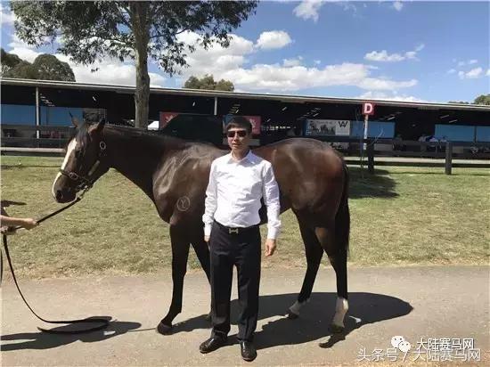 马业要闻,中国马业最受欢迎的俱乐部