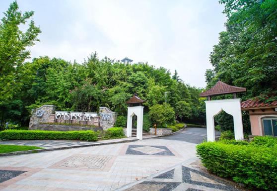 探秘各种酒店,探秘酒店