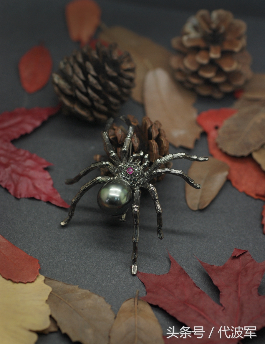 蜘蛛吊财神到有道理吗,吊蜘蛛预示什么