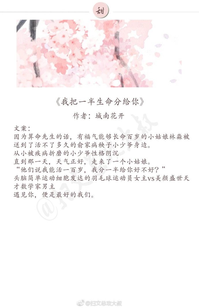 现言温馨甜宠文推荐,好看的甜宠文推荐高分