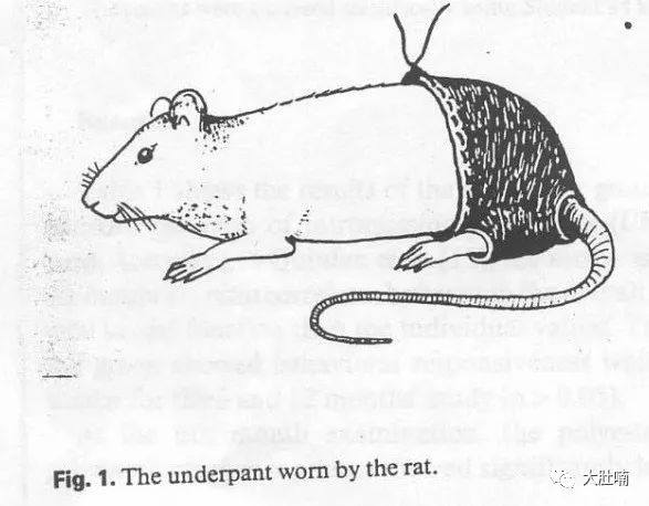 有多少男人被*裤内**套路了？这种丝滑材质的*裤内**可以让男人性无能！