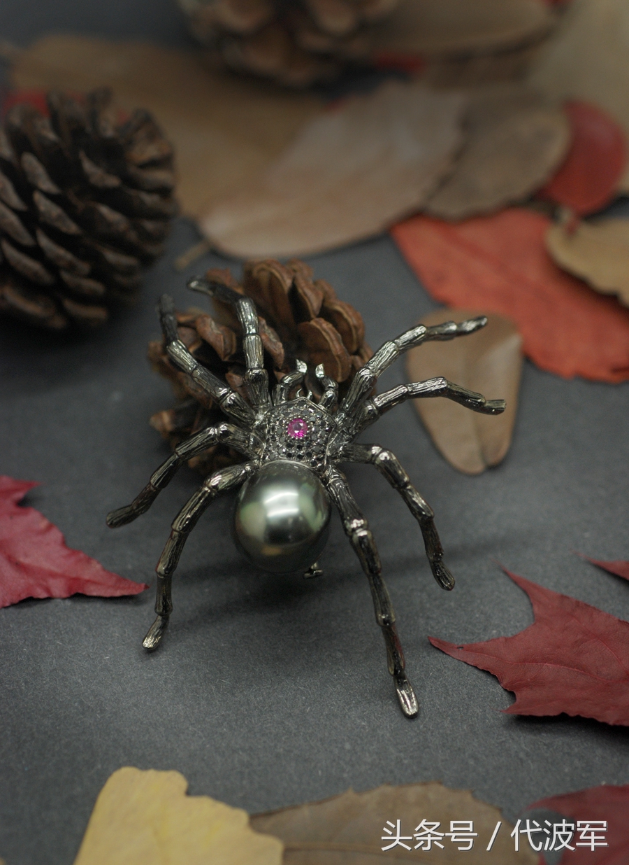 蜘蛛吊财神到有道理吗,吊蜘蛛预示什么