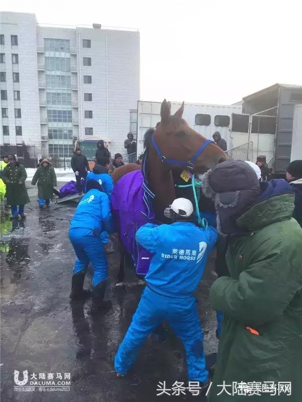 马业要闻,中国马业最受欢迎的俱乐部