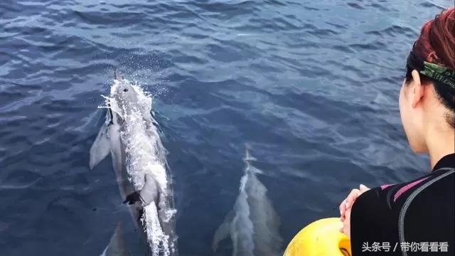 帕劳海底旅游图片,帕劳私人岛旅游推荐