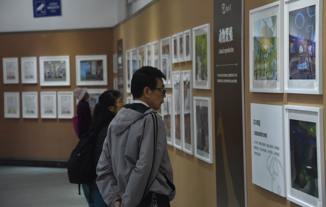 广州动物园40年前,70年代广州动物园