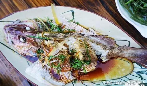 房车旅游最美游记,房车19天环岛旅游攻略