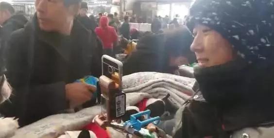 直播帮买宠物,卖狗直播保底一万可靠吗