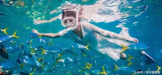 帕劳海底旅游图片,帕劳私人岛旅游推荐