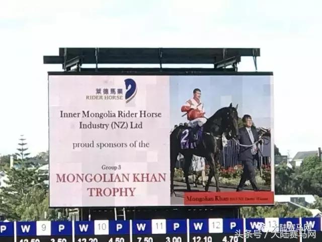 马业要闻,中国马业最受欢迎的俱乐部