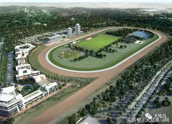 马业要闻,中国马业最受欢迎的俱乐部