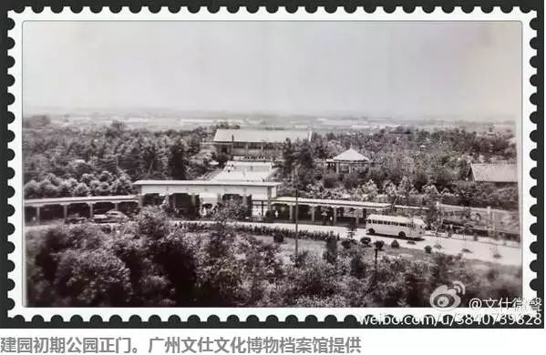 广州动物园40年前,70年代广州动物园