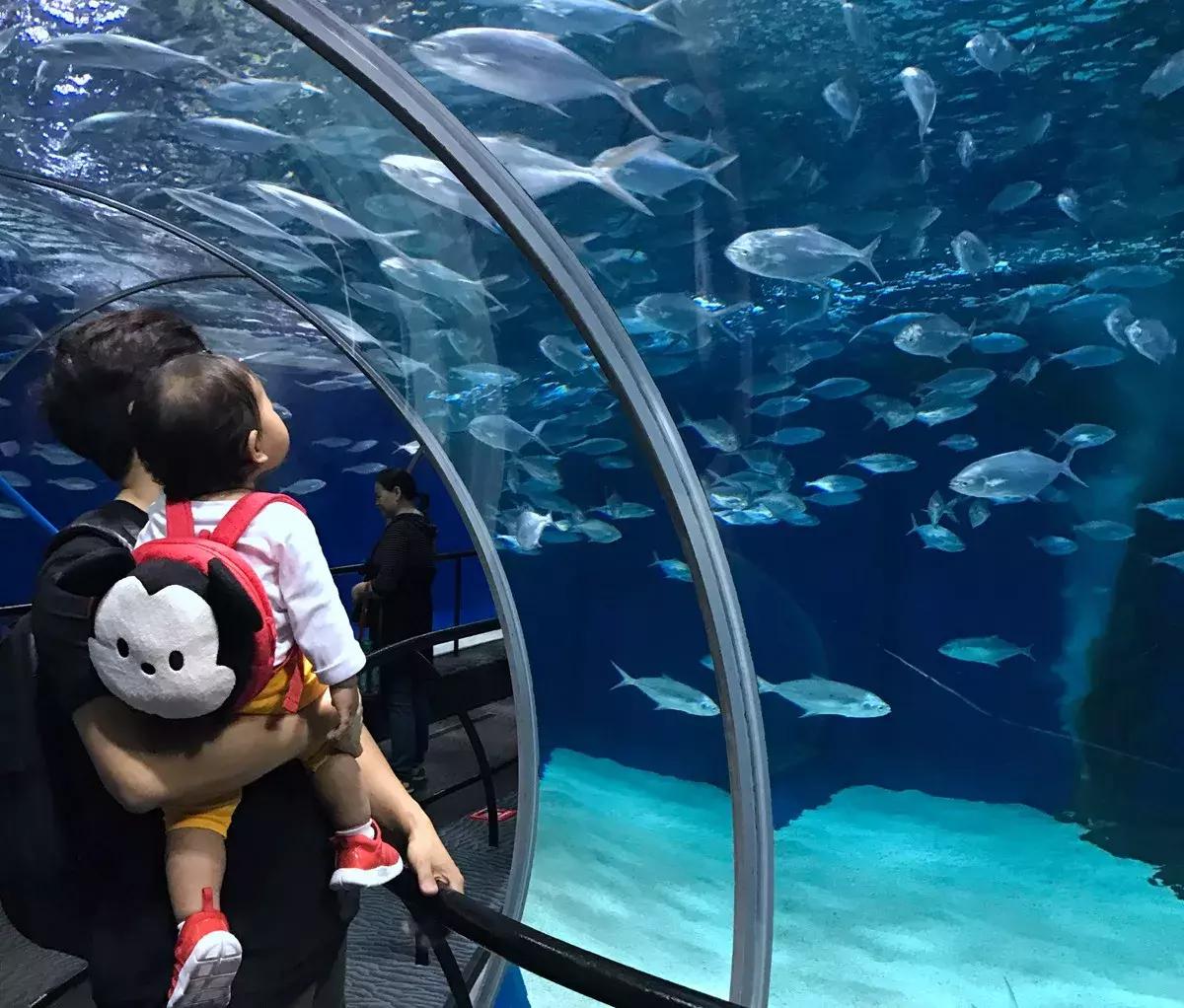 当双鱼座遇到射手座,当双鱼座遇上处女座