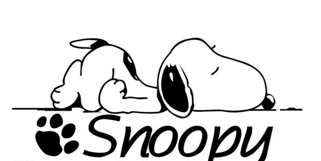 属狗人进入本命年运势如何,属狗人本命年的运气如何