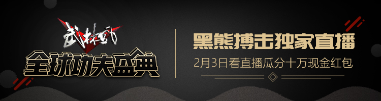 武林风终极盛典冠军,武林风罗根阿隆索对阵方便