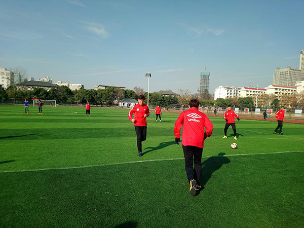 树欲静而风不止下半句是,树欲静而风不止何时才是尽头