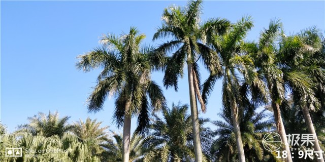 资深极客上手一加5T，顺便给你聊聊它的前世今生