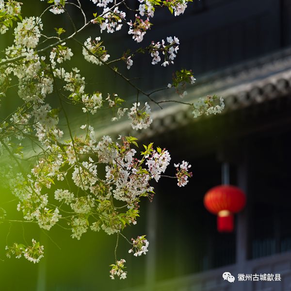 2018最后一个月旅行清单,您有一份佛系旅行指南请查收