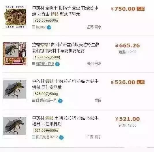 可惜啊，涨到300元一斤！六安人却拿来喂猪……