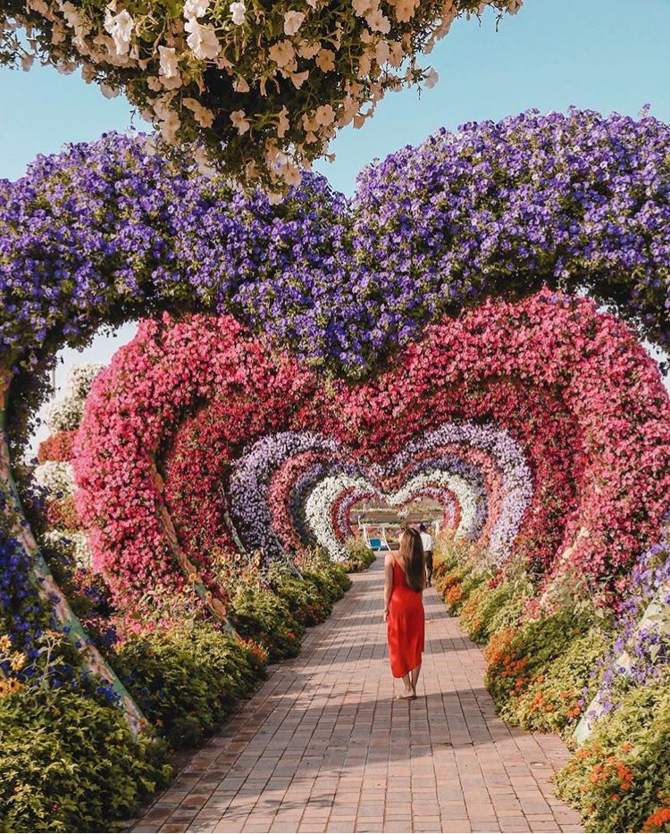 omg网红街城市森林秘境,omg佛系少女