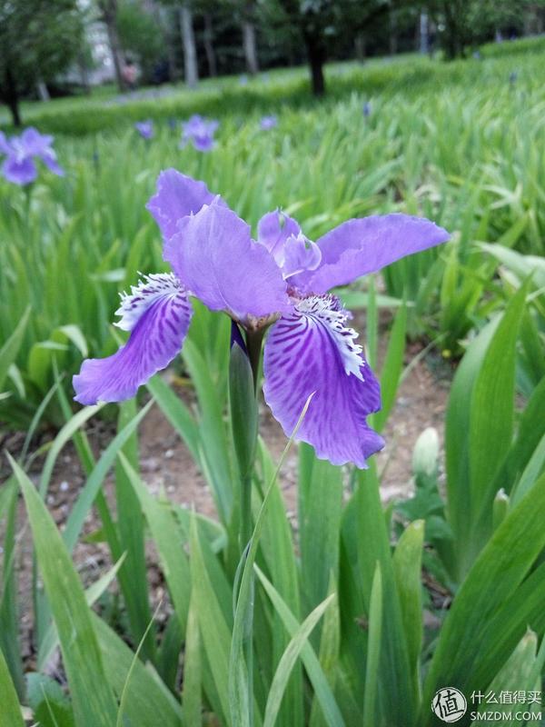 如何评价小米刚发布的红米note3,小米红米备用机推荐300以下