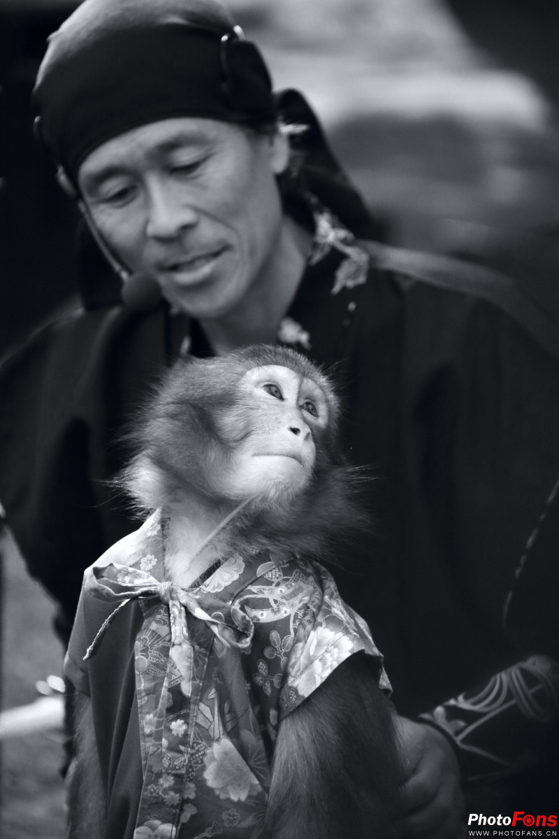 春之物语佳能EF70-300mmf4.0-5.6ISUSM日本猎影