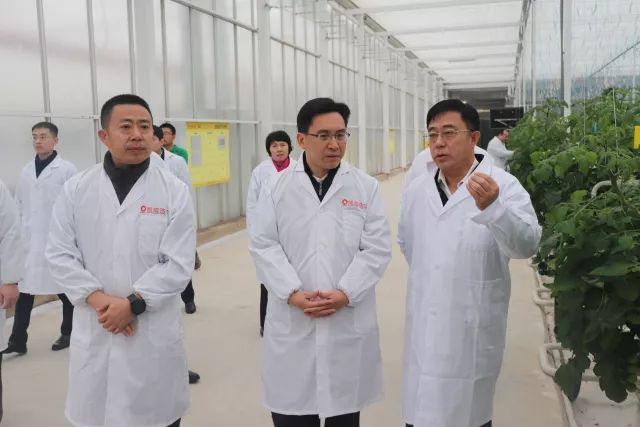 团省委书记陈必昌、副书记赵勇来我市调研宣讲并走访慰问困难群众