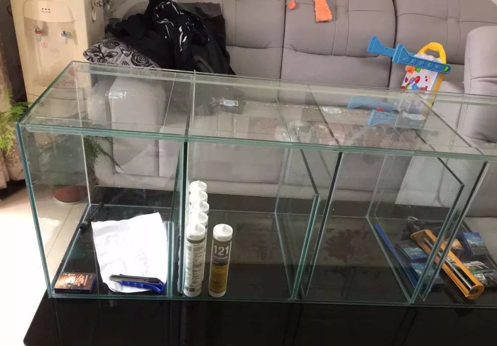 历时4个月，亲手做的缸终于运行！