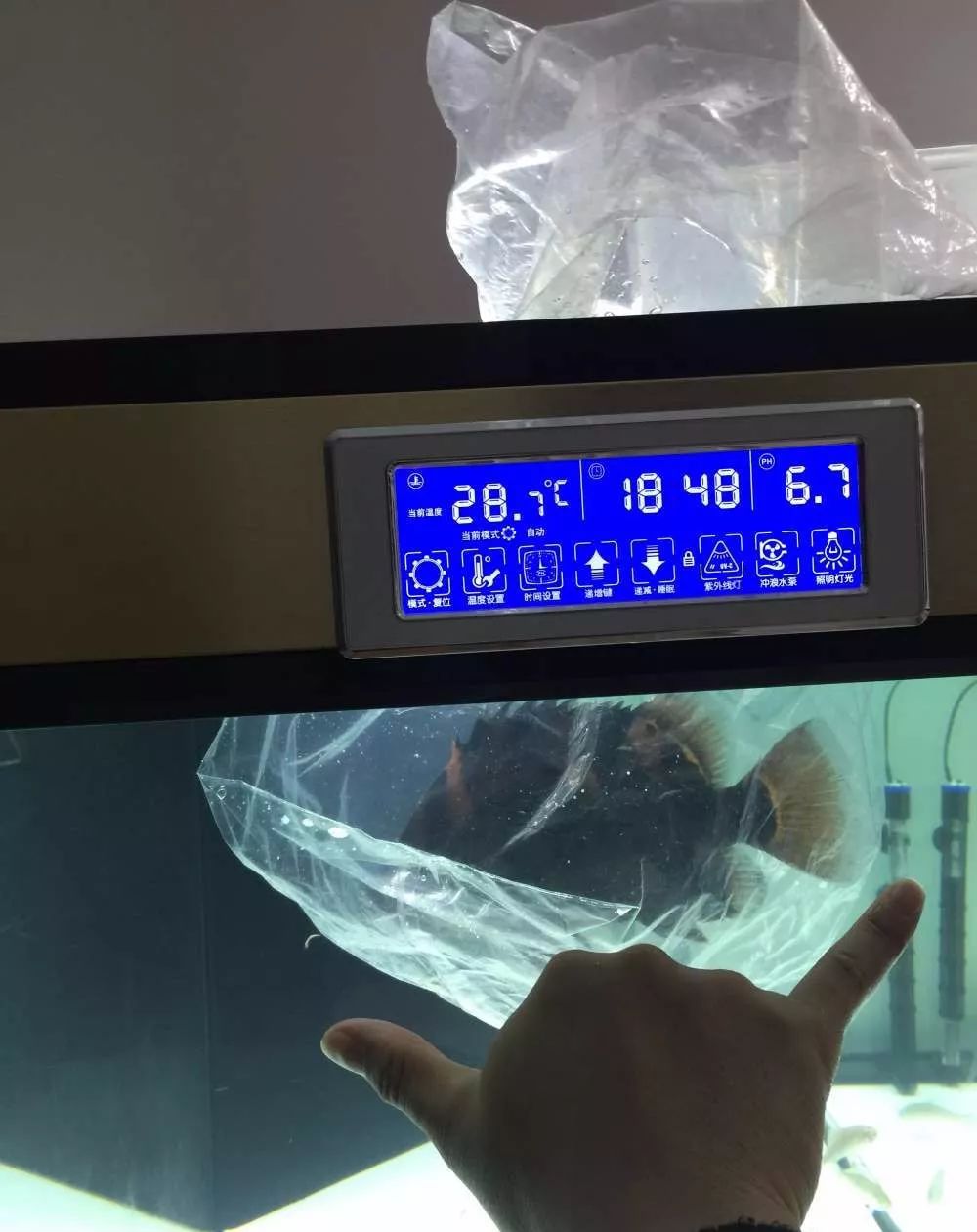 历时4个月，亲手做的缸终于运行！