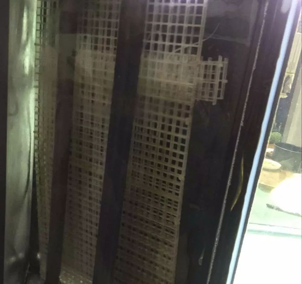 历时4个月，亲手做的缸终于运行！