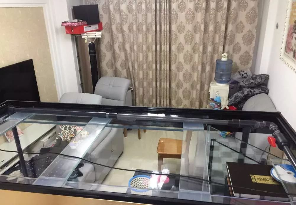 历时4个月，亲手做的缸终于运行！