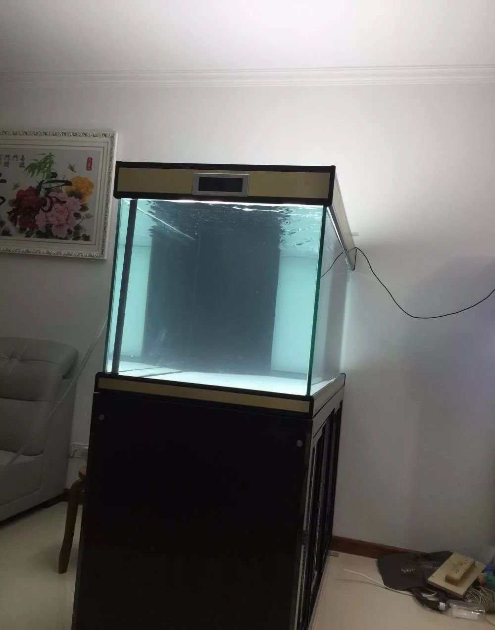 历时4个月，亲手做的缸终于运行！