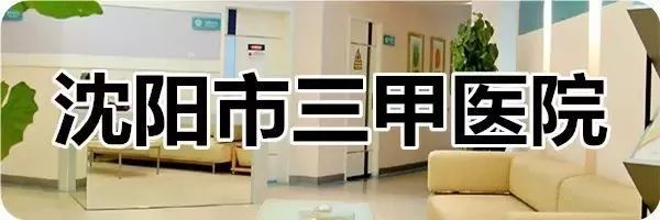 2018最实用的“超级沈阳密码”，人手必备！