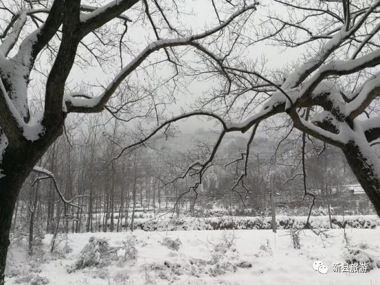 雪花赞美词,雪花飘飘北风萧萧
