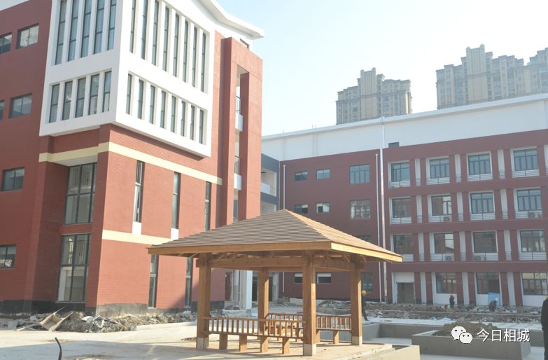 推动全区教育均衡优质发展,聚焦优质均衡建设教育强区