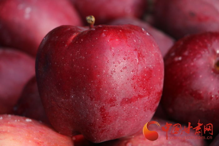 礼县电商苹果,礼县苹果走向世界