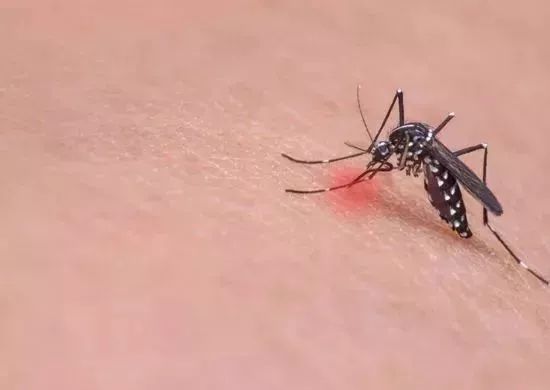 一块钱的红霉素软膏有什么功效,红霉素软膏为啥这么便宜