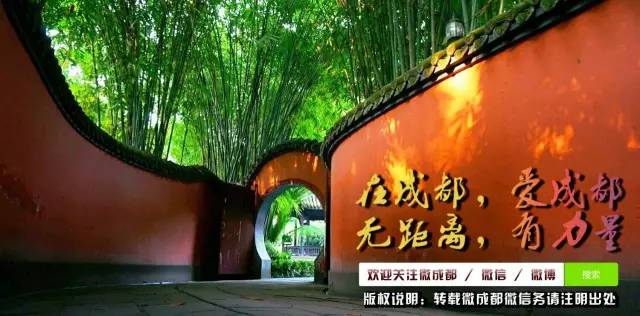 成都吃鱼最好吃的地方,成都吃鱼推荐