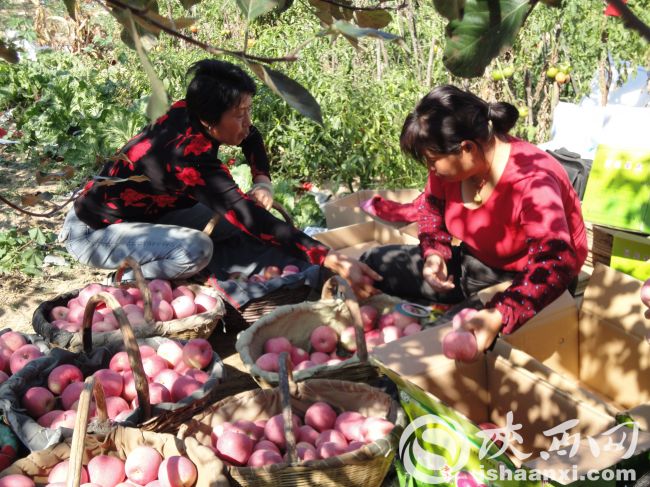 黄龙三岔镇：“两个创新”绘画卷“一个紧跟”谱新篇