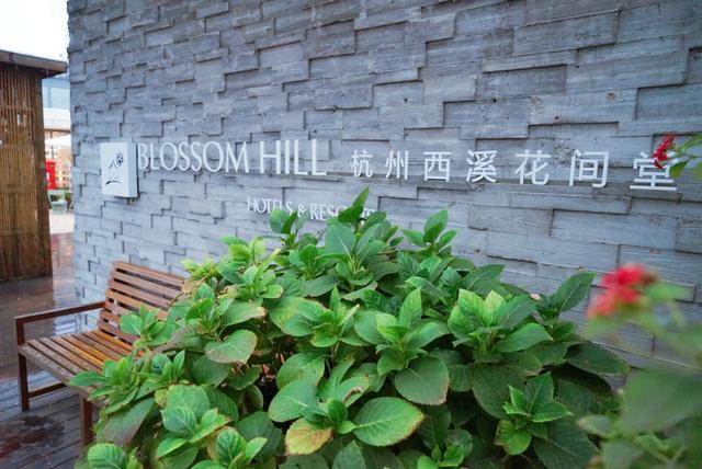 我和玛莎拉蒂的故事,我与玛莎拉蒂的故事