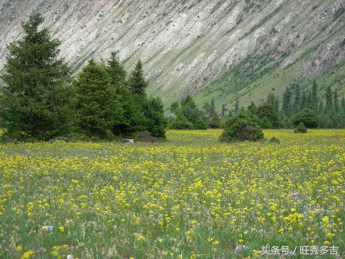 乌孙古道徒步注意事项和技巧,乌孙古道徒步穿什么衣服八月