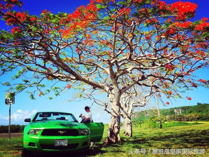 2017塞班岛旅游报价,塞班岛2019完整合集