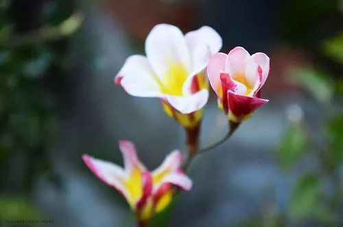 中英文标点还有这些区别，你知道吗？考试时不要用错了哦~