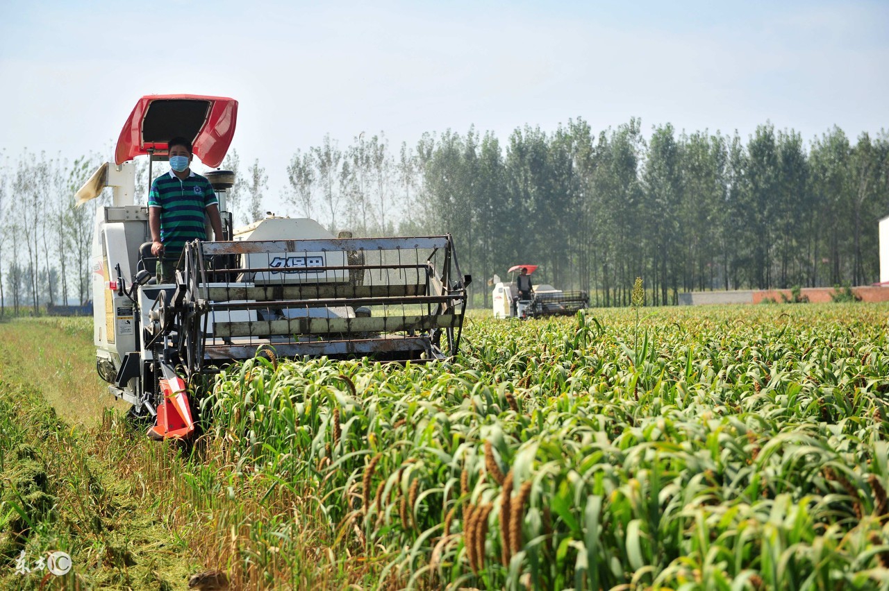 轻创业平台的小白怎么做,低成本轻资产创业推荐