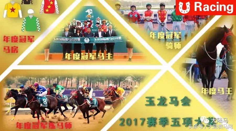 玉龙国际赛马公开赛5000米,玉龙赛马比赛2019